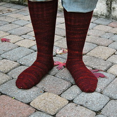 Wollmeise Ringwood Socks