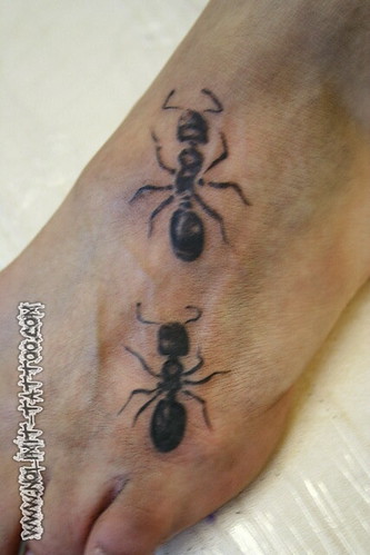 Ant Tattoos,tattoos,tattoo designs