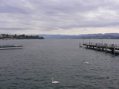  Zürichsee