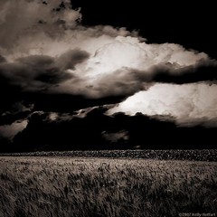 Wheat Field and Clouds