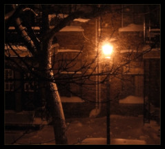 PublicLight in a Snow Storm