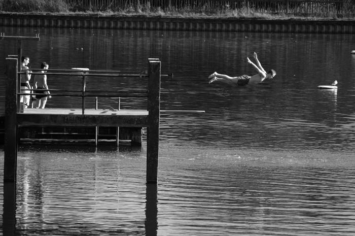 Diving :: Click for previous photo