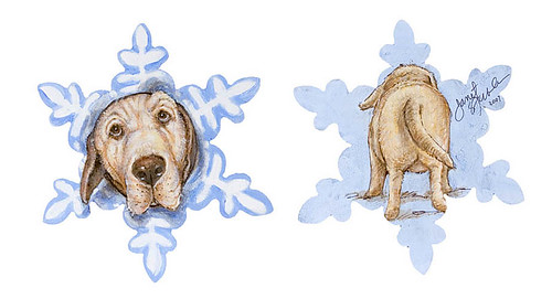 I am not a snowflake, I'm a dog!" by Janet Stevens