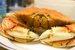 Dungeness Crab (cooked)