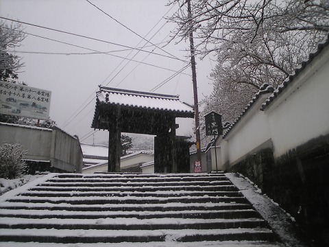 当麻寺（雪景色）-01