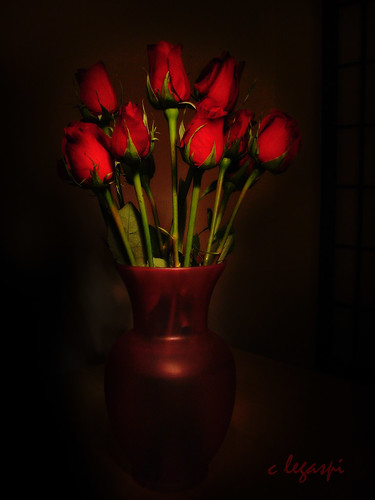 valentine flowers. My Valentine Flowers.