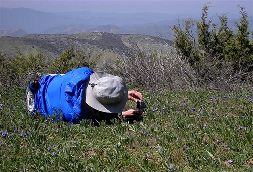 Taking a picture at Carrizo Plain