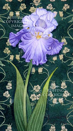 "Blue and White Iris on Green" ER31 by Elizabeth Ruffing