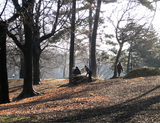 Prospect Park in Winter Two