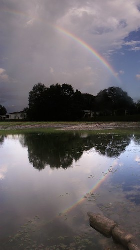 Post Office Pond Rainbow