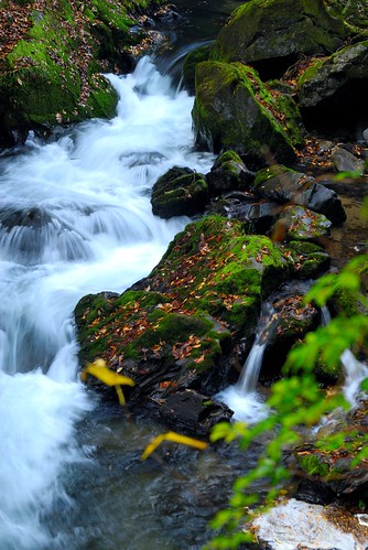 a stream : autumn in taisyaku-ravine '07