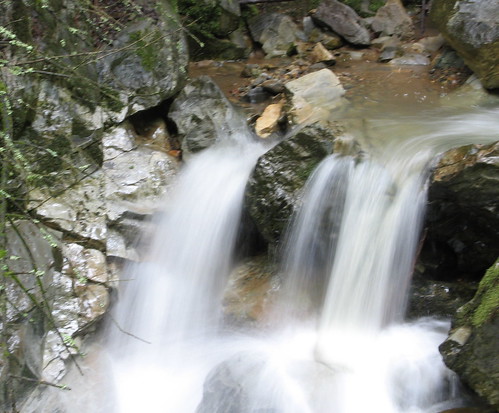Flowing water on Steep Ravine Trail