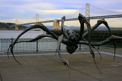 Spider statue