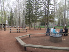 picnic site 
