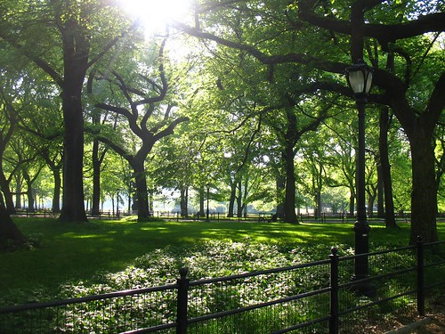 Central Park - May 13th