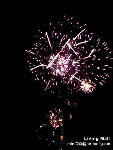 2008 Taipei LivingMall fireworks 02