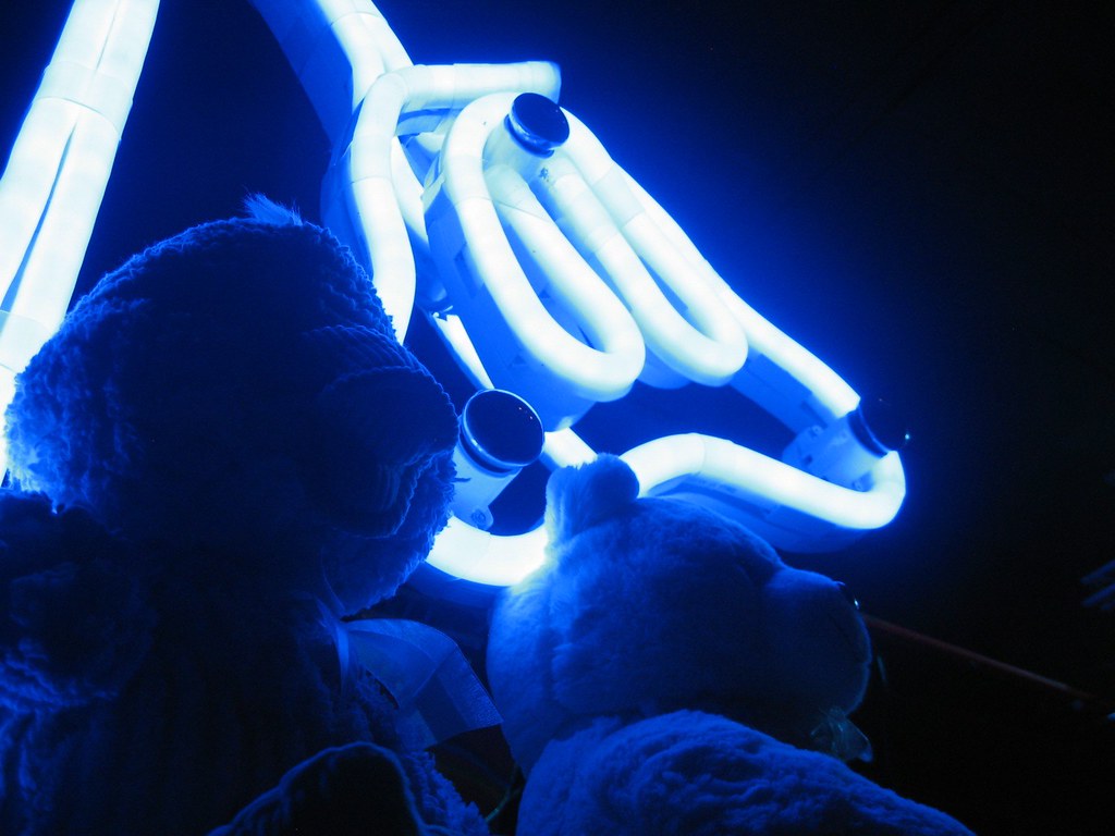 neon & teddy bears