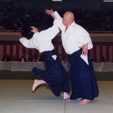 No-touch aikido: defence