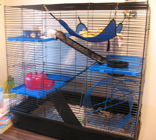 New cage!