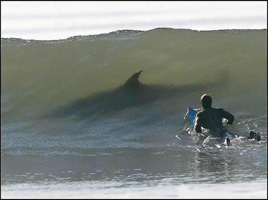 Lets-go-surfing
