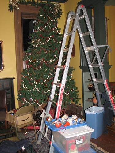 DH has to do the top of the tree