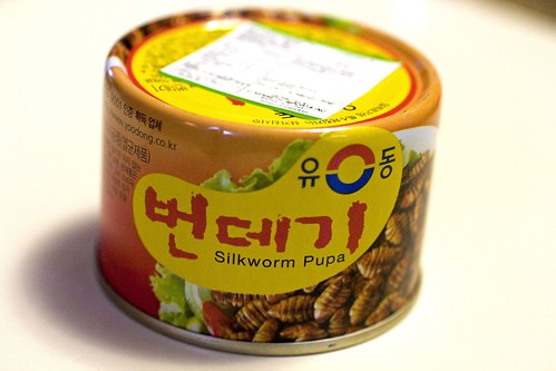 A Can of Silkworm Pupae