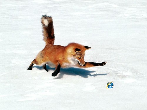 Firefox_Chasing_IE_1200x900 por ottodv.