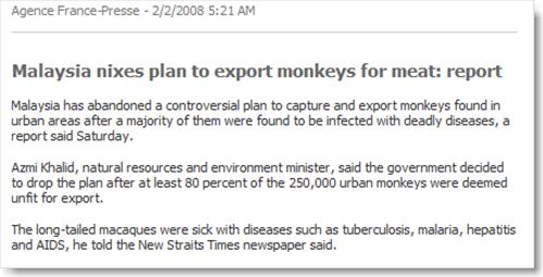monkeys_malaysia2