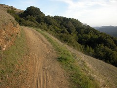 Mountain bike tracks