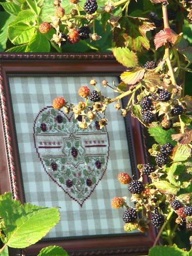 The Sweetheart Tree.Blackberry Heart