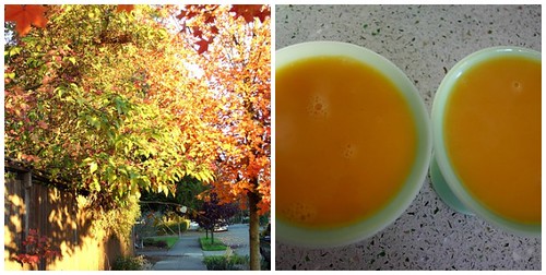 Fall color + Mango pudding = visual poetry