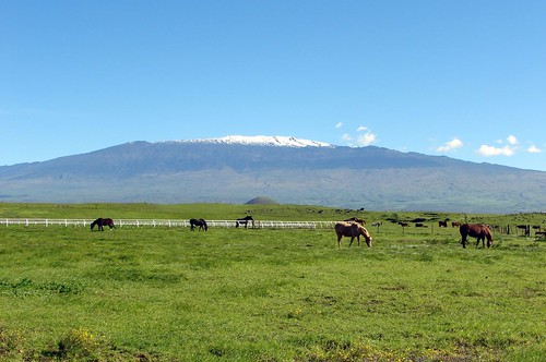 Mauna Kea from Waimea, Parker Ranch