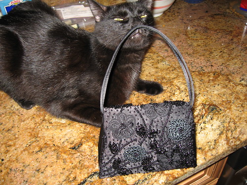 Ellie sniffs my black-tie purse.