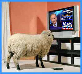 Sheeple Fox News