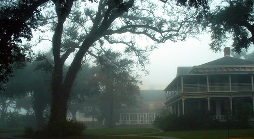 Foggy day in New Orleans