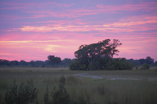 sunrise in the Okavango delta-2