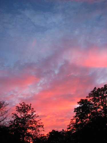 richmond park sunset