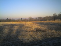 frozen fields