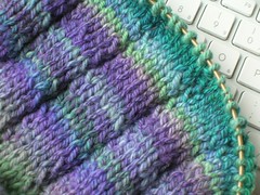 Clapette close-up (by aswim in knits)