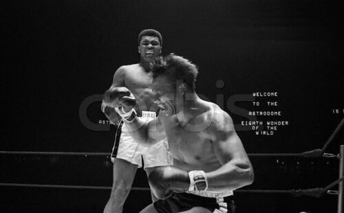 muhammad ali fighting. Boxer Muhammad Ali Knocking