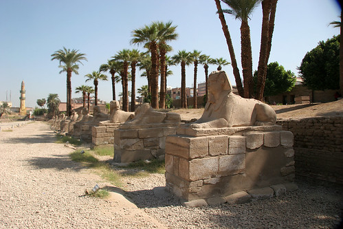 Luxor Temple / The Avenue of Sphinxes ©  Elena Pleskevich
