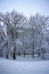 Snow_in_Brno019