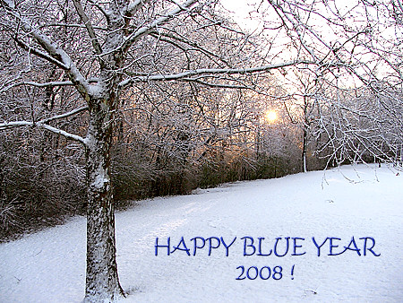 Happy Blue Year '08