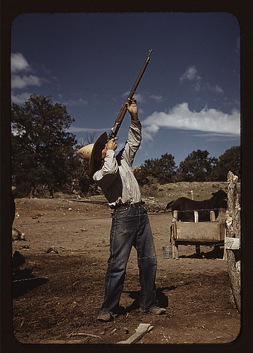 Mr. Leatherman, homesteader, shooting hawks which have been carrying away his chickens, Pie Town, New Mexico (LOC)