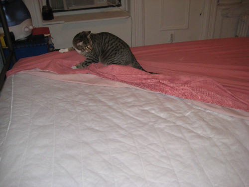 buster helps make the bed
