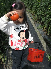 20080204-zo与番茄2