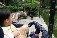 新竹市立動物園10