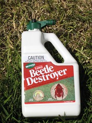 Beetle Destroyer