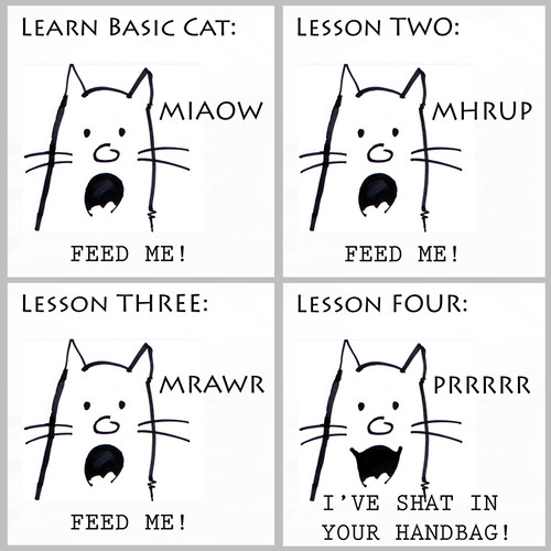 The Cat Translator