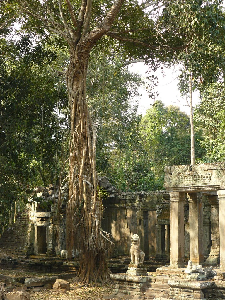 Cambodge - Angkor #125
